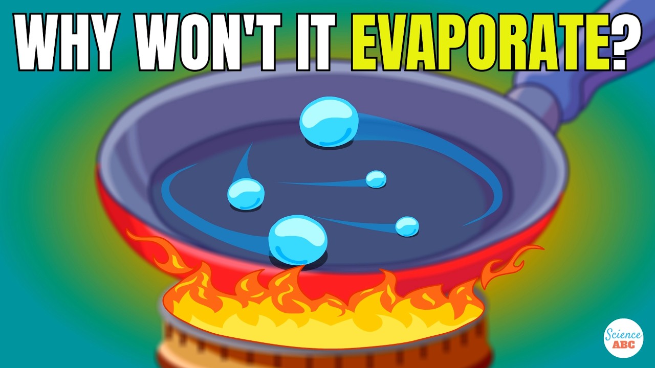 Leidenfrost Effect Explained in Simple Words for Beginners