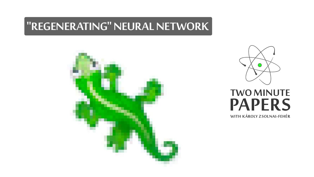 This Neural Network Regenerates…Kind Of 🦎