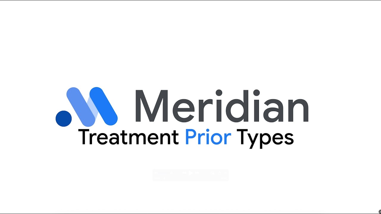 Google Meridian | Treatment Prior Types
