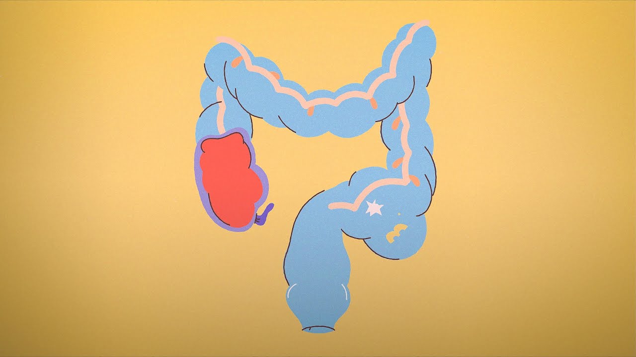 Все о стуле: когда норма, когда тревога, и почему клетчатка — ваш друг