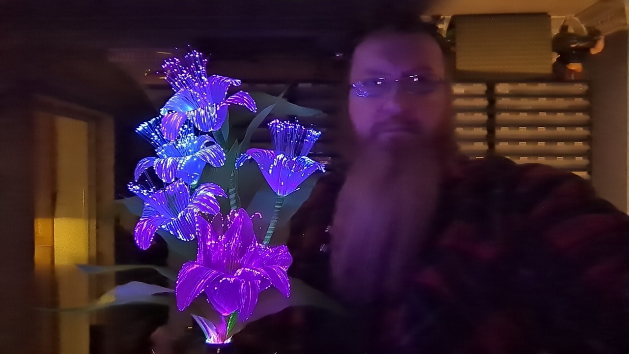 Inside a retro fibre optic flower base