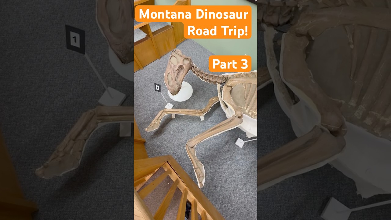 Coolest Unknown Museums in Montana