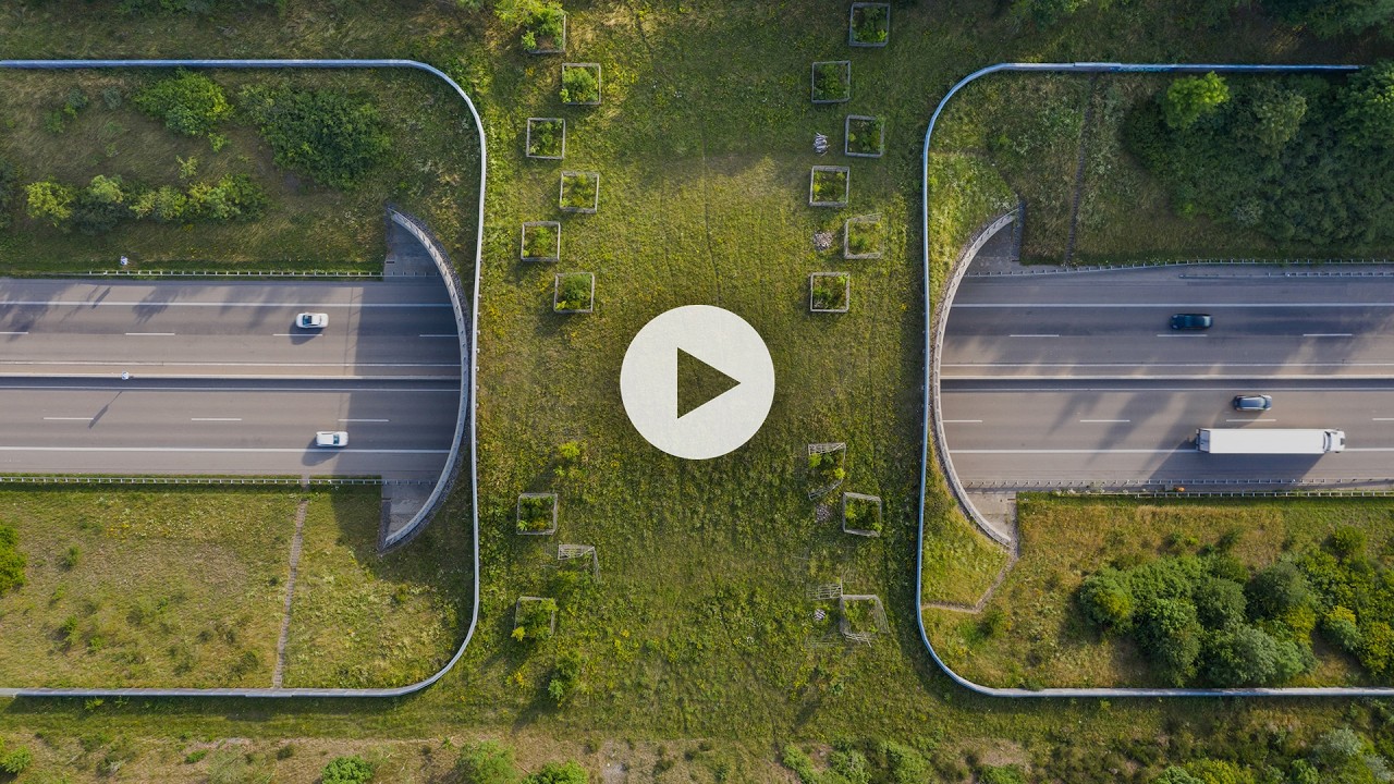 The Download presents: Visualising Sustainability—What Really Resonates with Consumers- Getty Images
