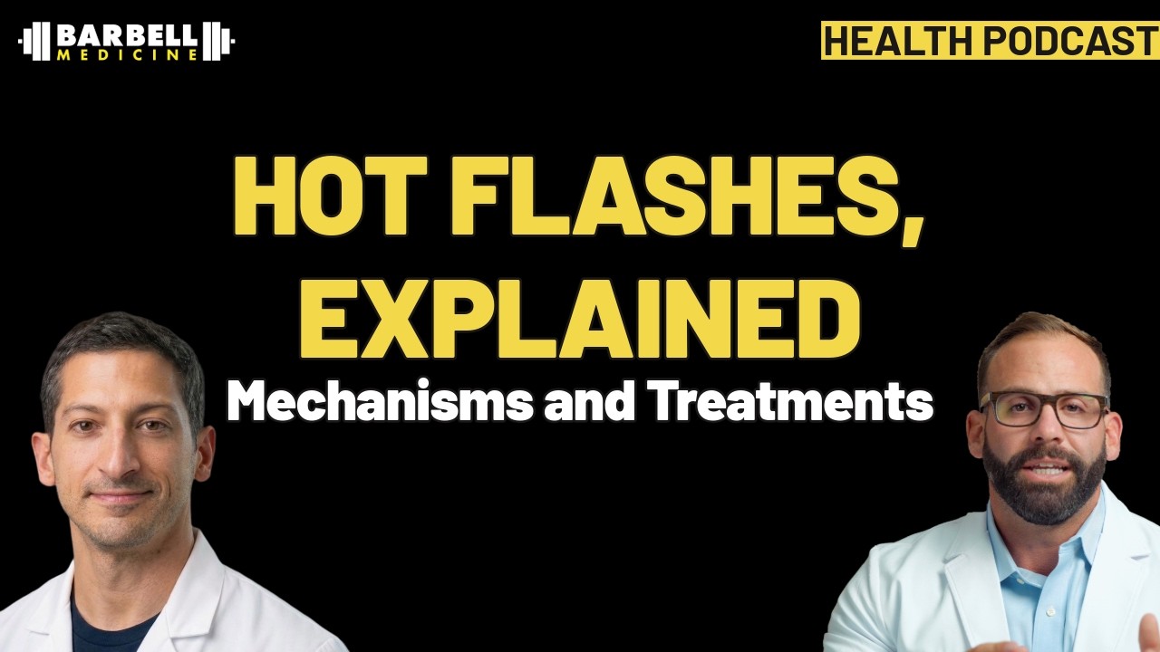 Hot Flashes, the KNDy Mechanism, and the New Non-Hormonal Pill