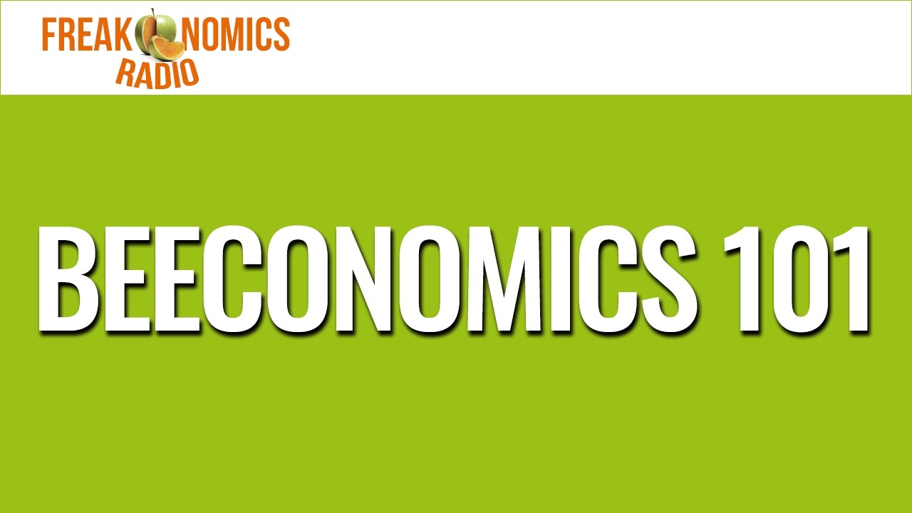 670. Beeconomics 101 | Freakonomics Radio