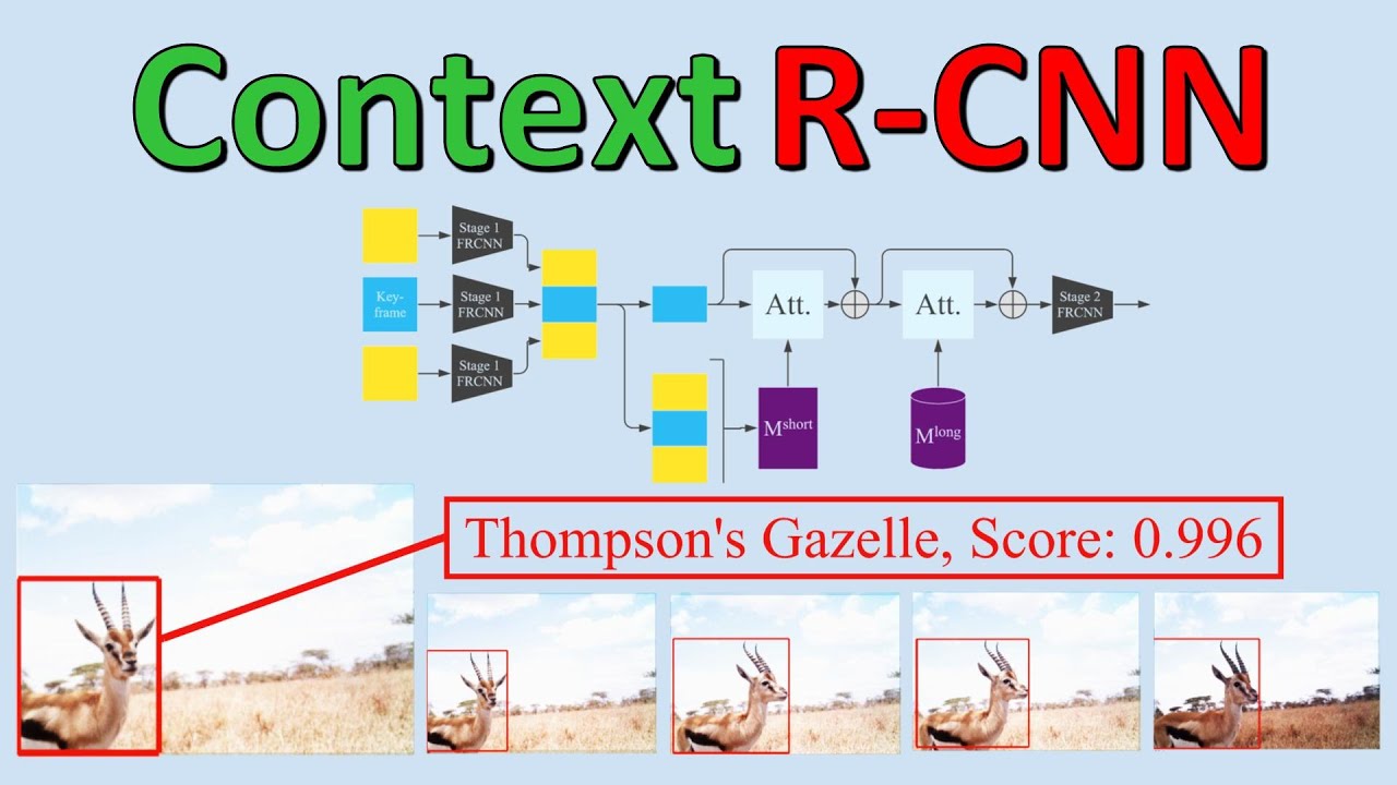 Context R-CNN: Long Term Temporal Context for Per-Camera Object Detection (Paper Explained)