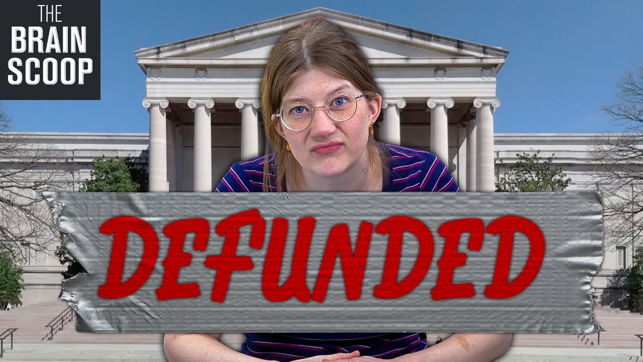 Trump gutted museums & libraries. Here's why that matters