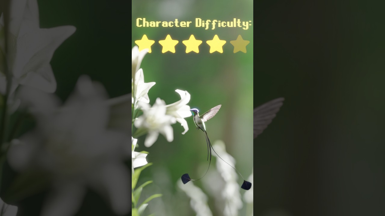 How to main Hummingbird