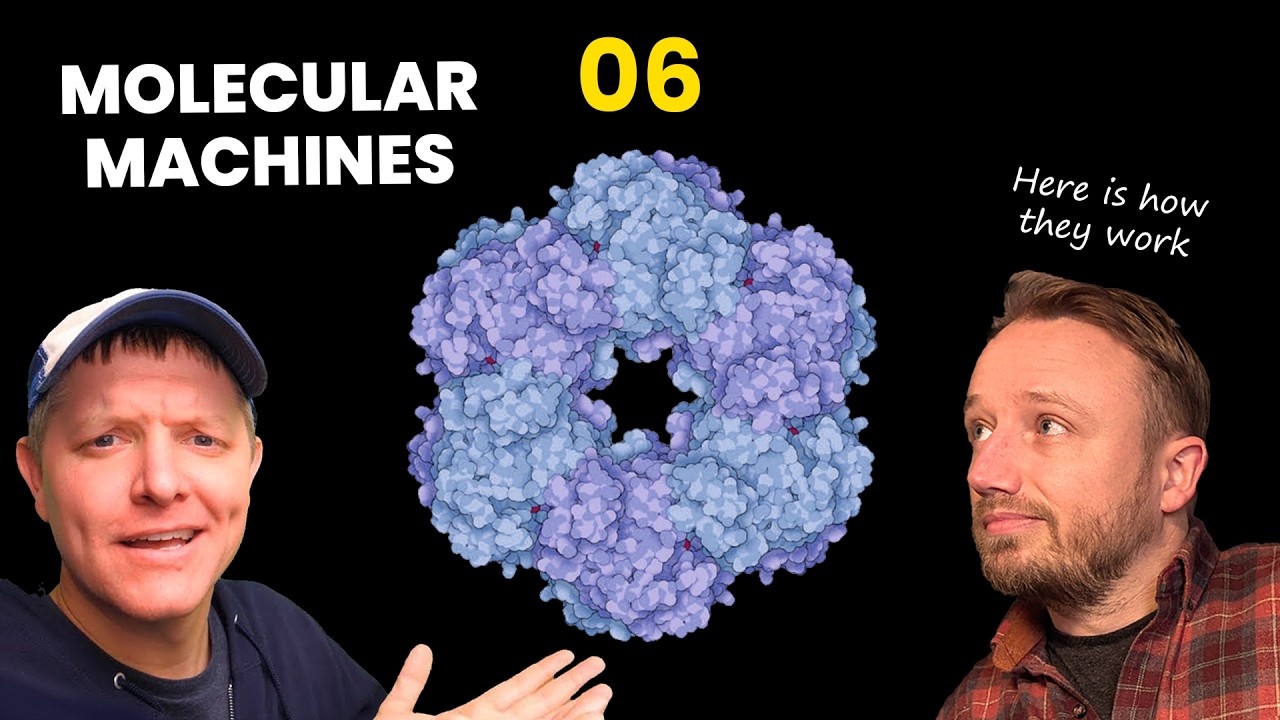 Proteins Are Squishy Magnetic Legos: Flagella Evolution 06