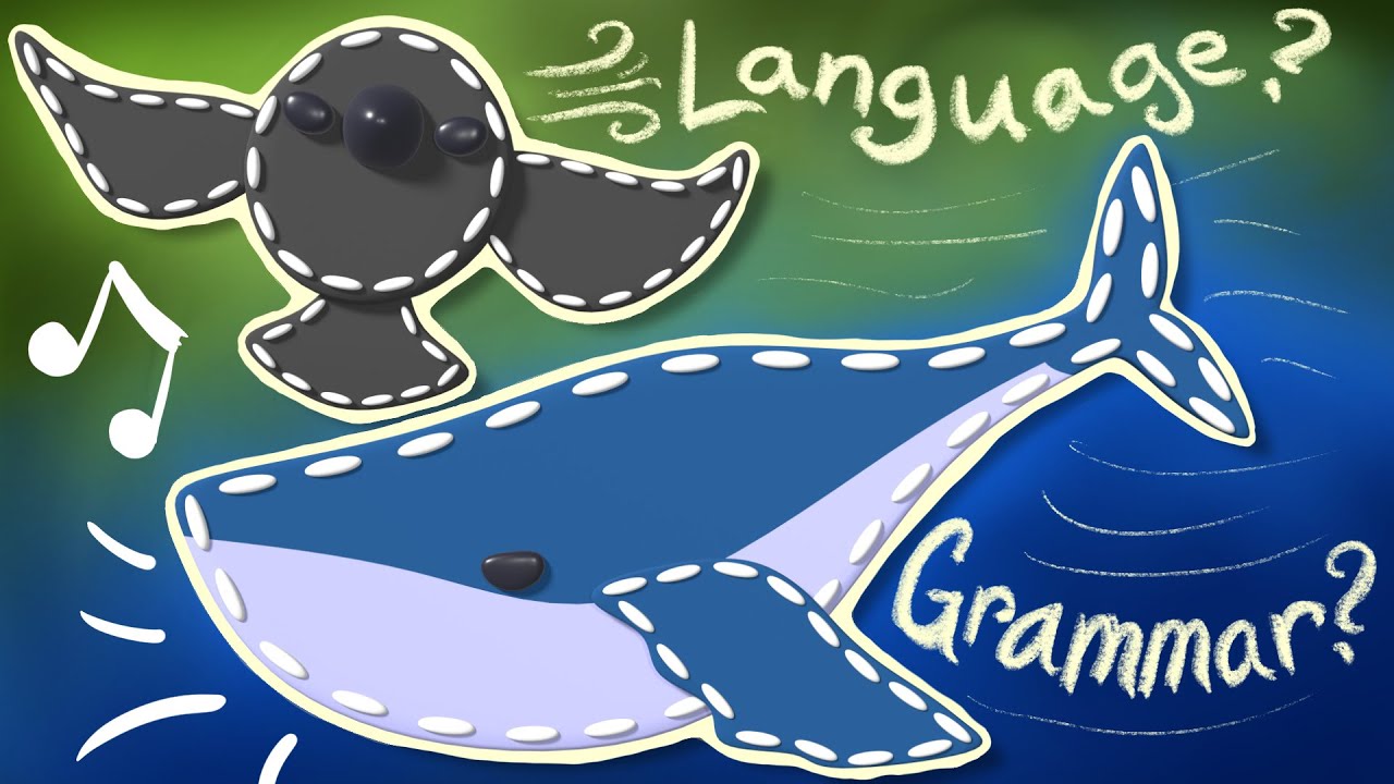 Bird and cetacean grammar, and series conclusion – Can Animals Grammar? #8