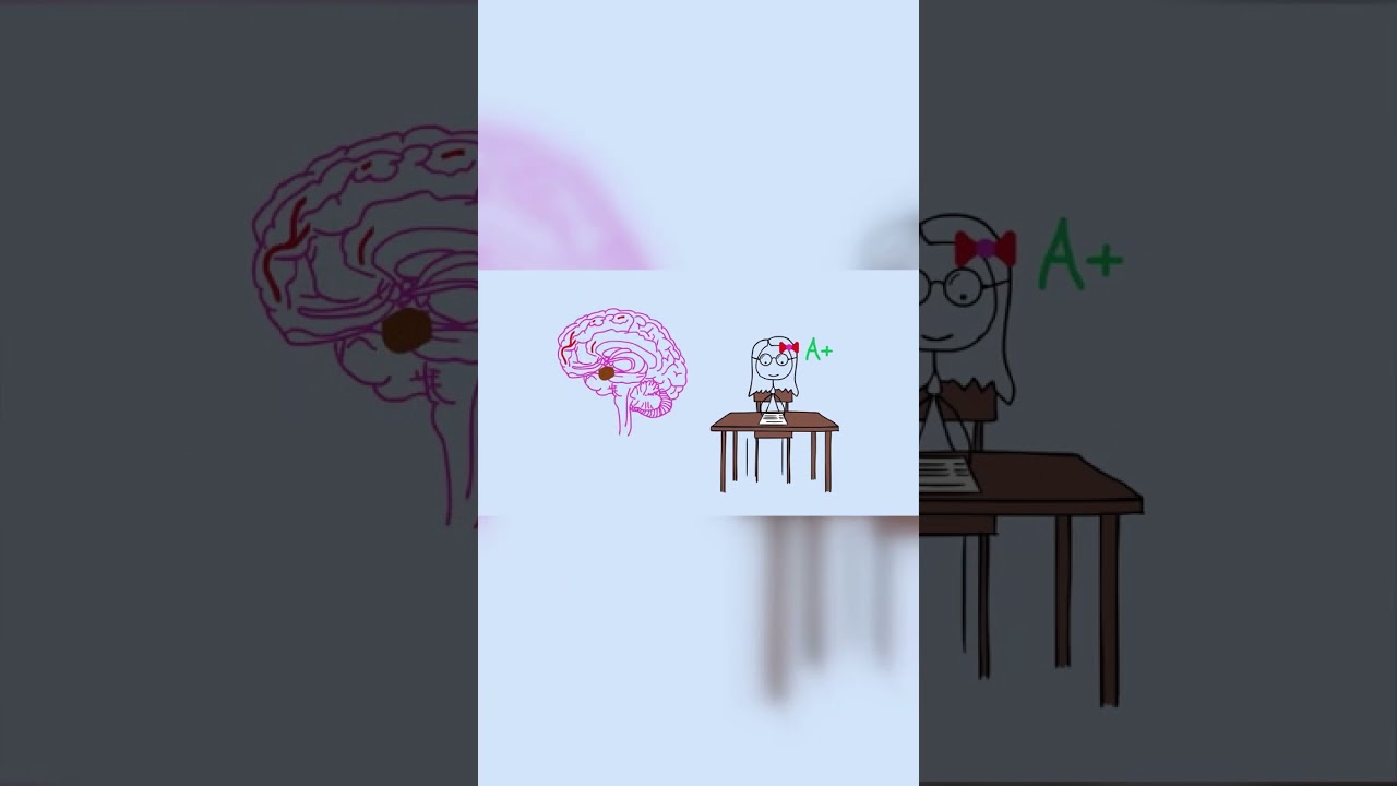 Why calm students outperform the stressed #exam success #calm #cognitive performance