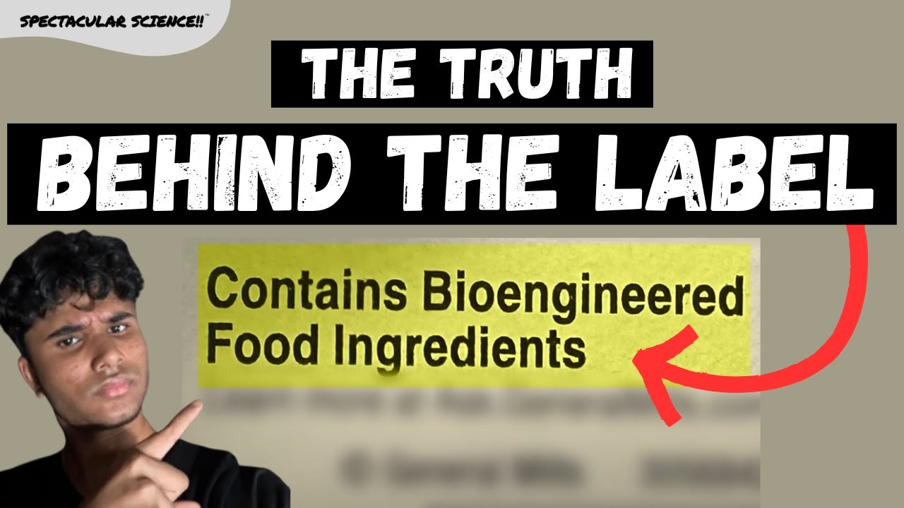What Are Bioengineered Food Ingredients? Revealed