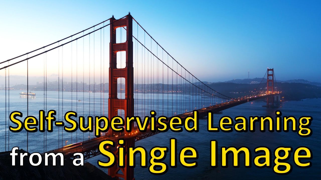 A critical analysis of self-supervision, or what we can learn from a single image (Paper Explained)