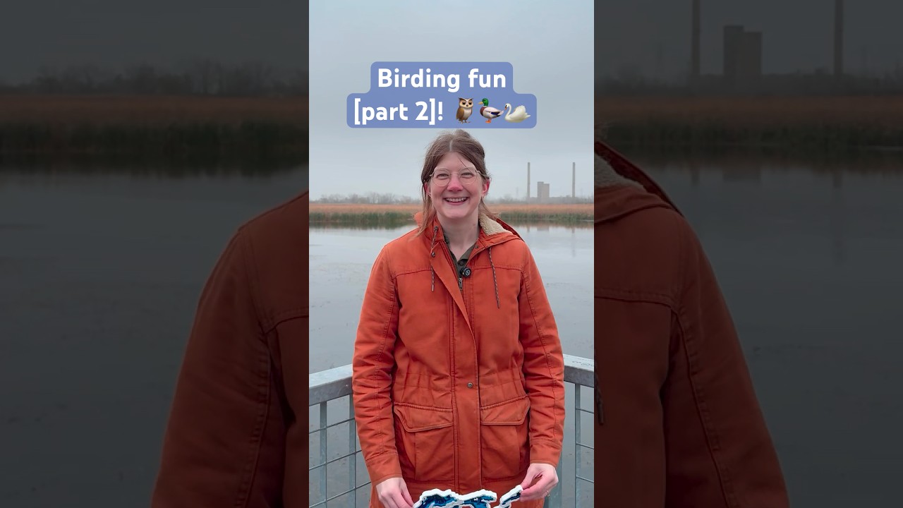 Birding adventures w/ the Audubon Society [Part 2]!