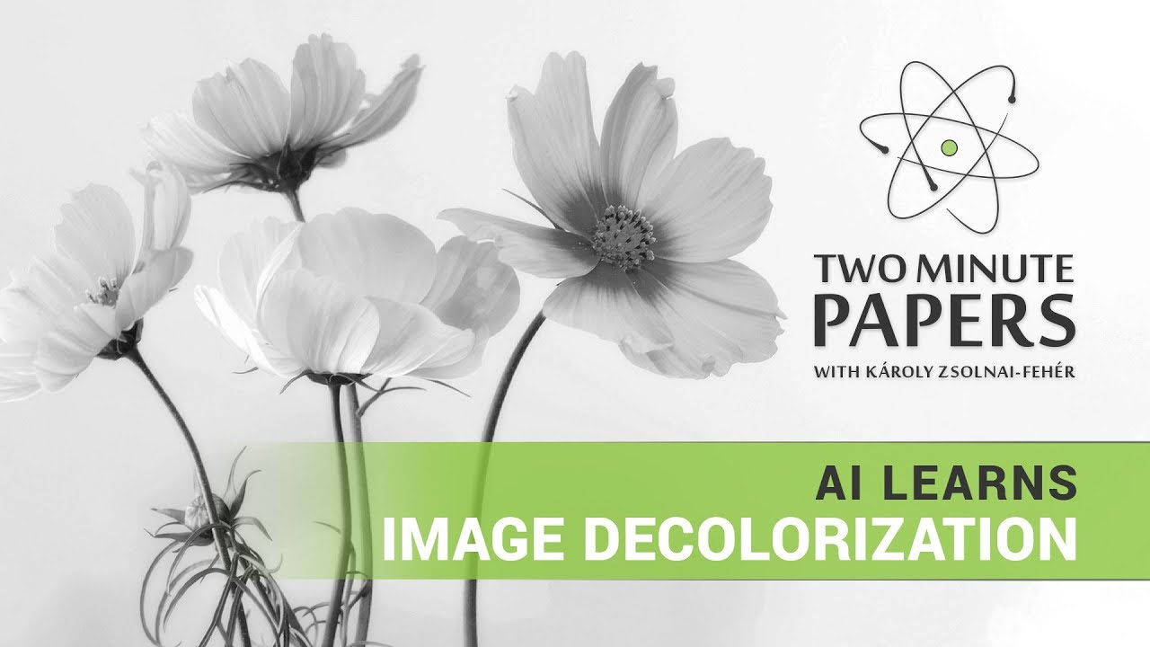 This AI Learned Image Decolorization..and More
