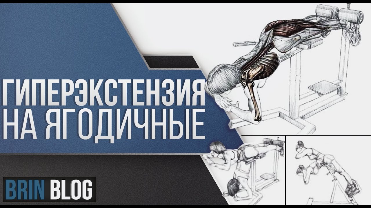 Гиперэкстензия на ягодичные: женский вариант выполнения для идеальной формы