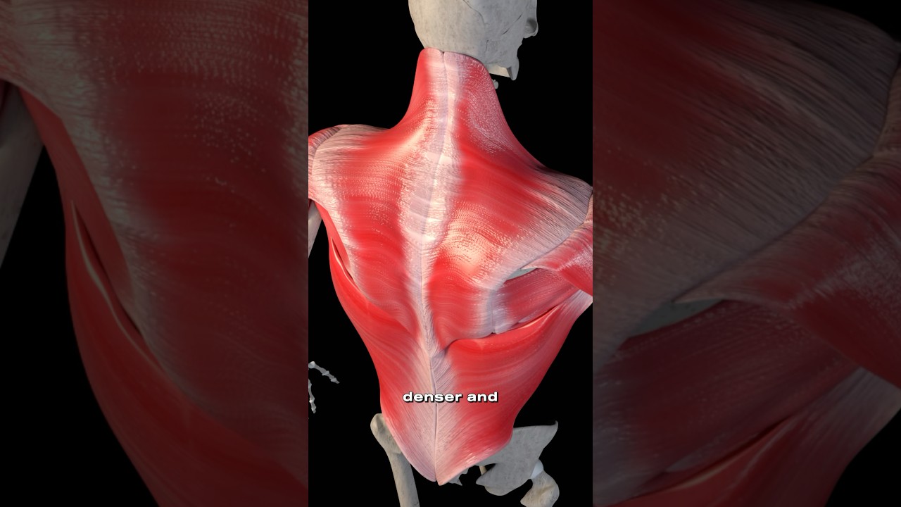 Here's How to Improve Bone Density