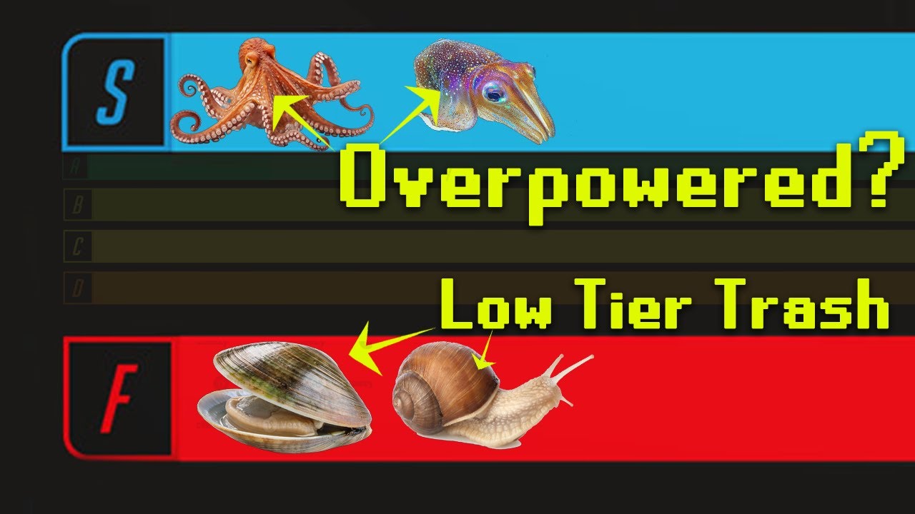 The Mollusk Tier List