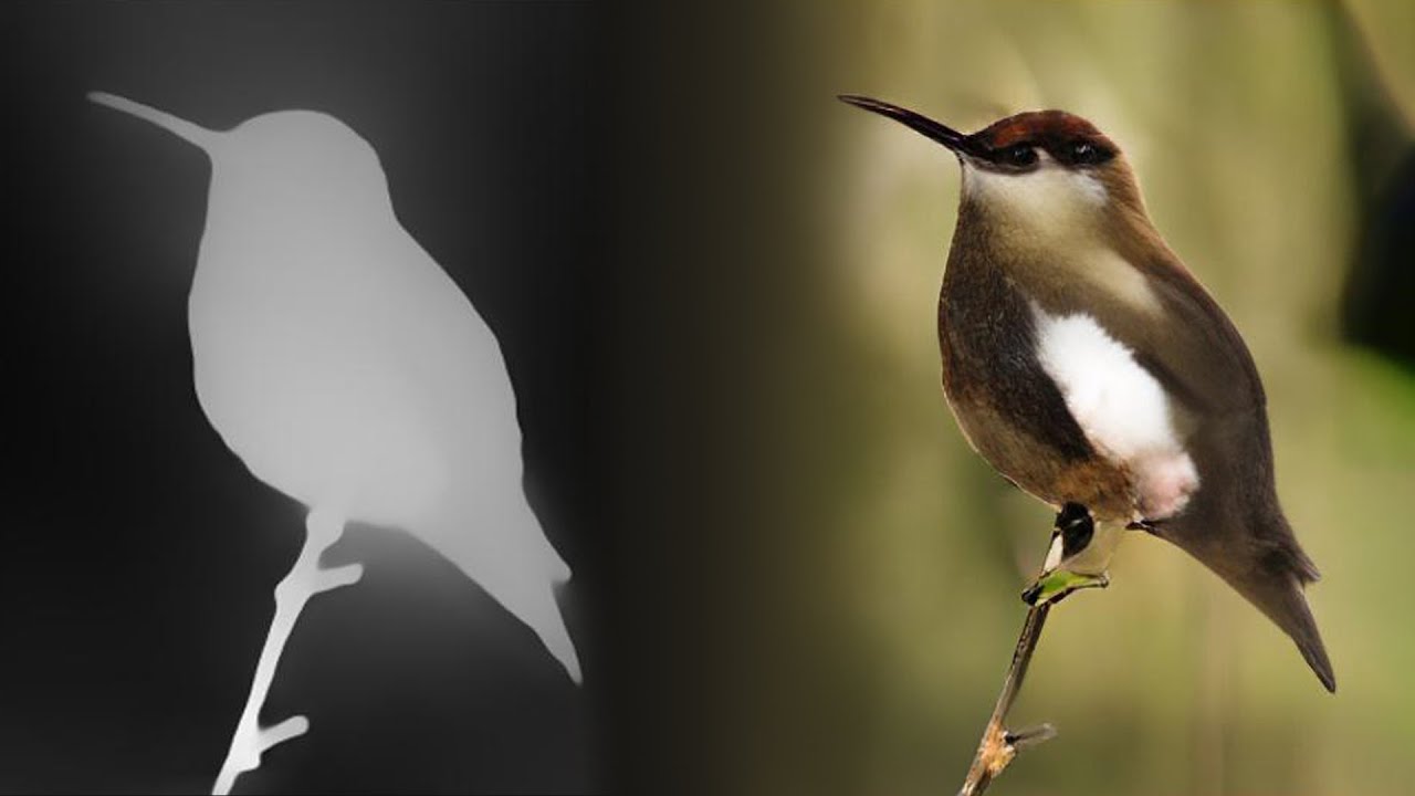 These Neural Networks Have Superpowers! 💪