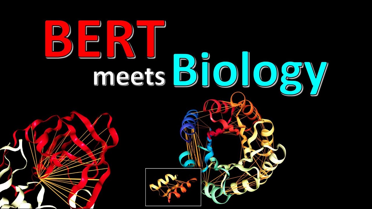 BERTology Meets Biology: Interpreting Attention in Protein Language Models (Paper Explained)