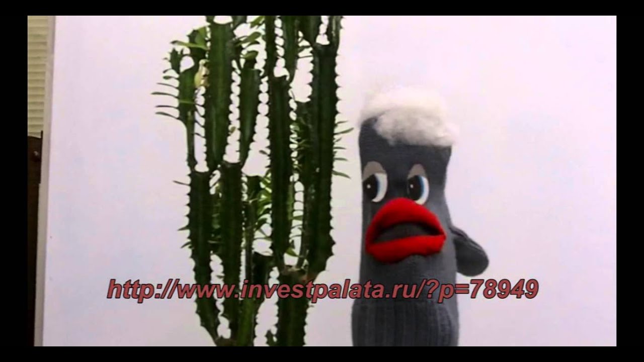 Исповедь варежки о форексе