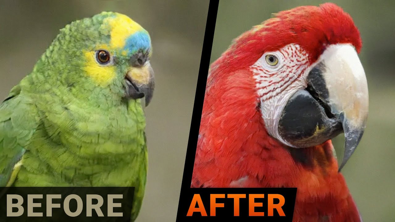 Google’s New AI: These Are More Than Images!