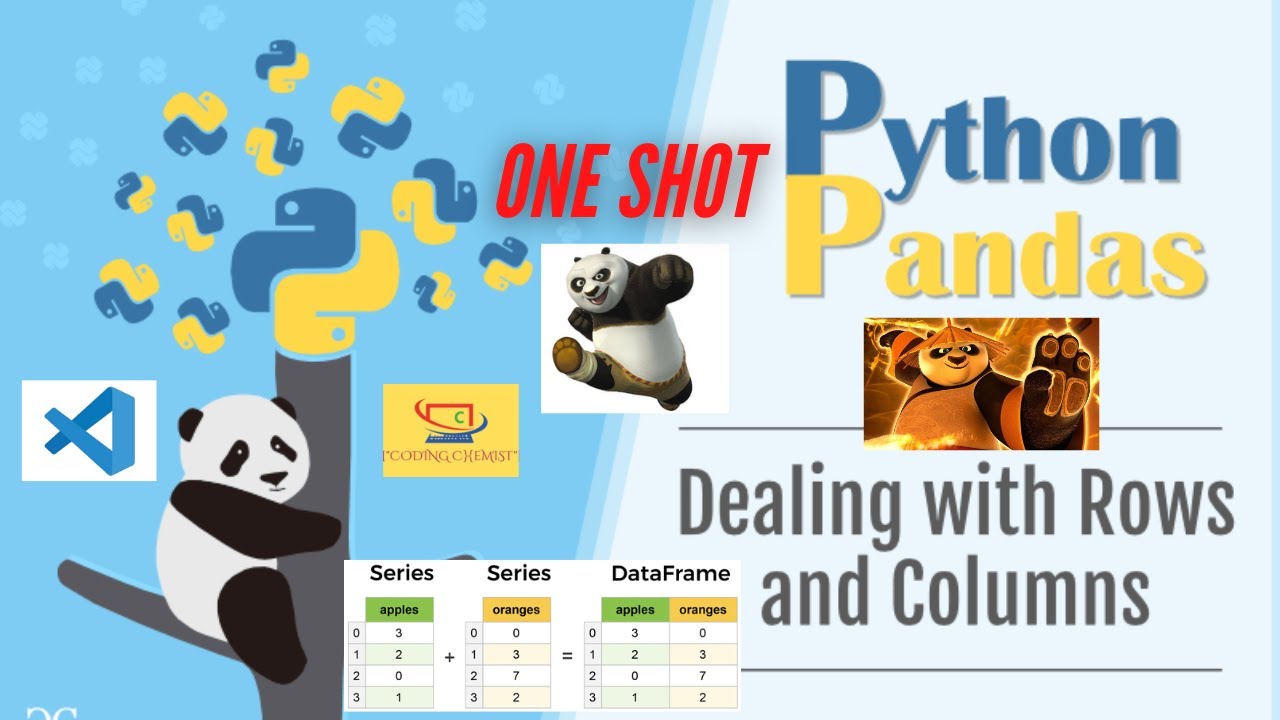 V3 - Python Pandas in one video.