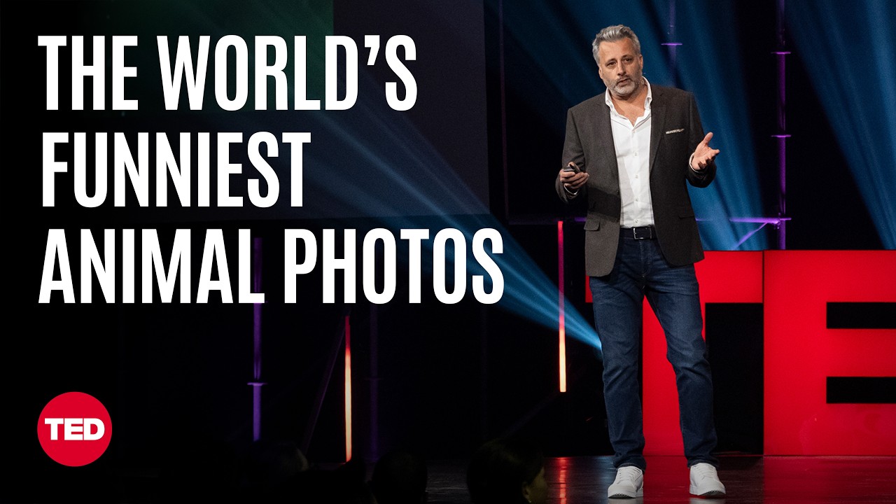 The Award for Best Comedy Wildlife Photo Goes to… | Tom Sullam | TED
