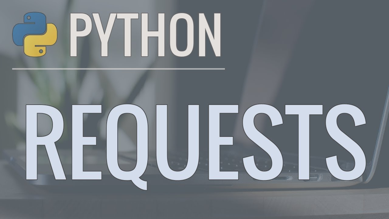 Python Requests: полное руководство по HTTP-запросам