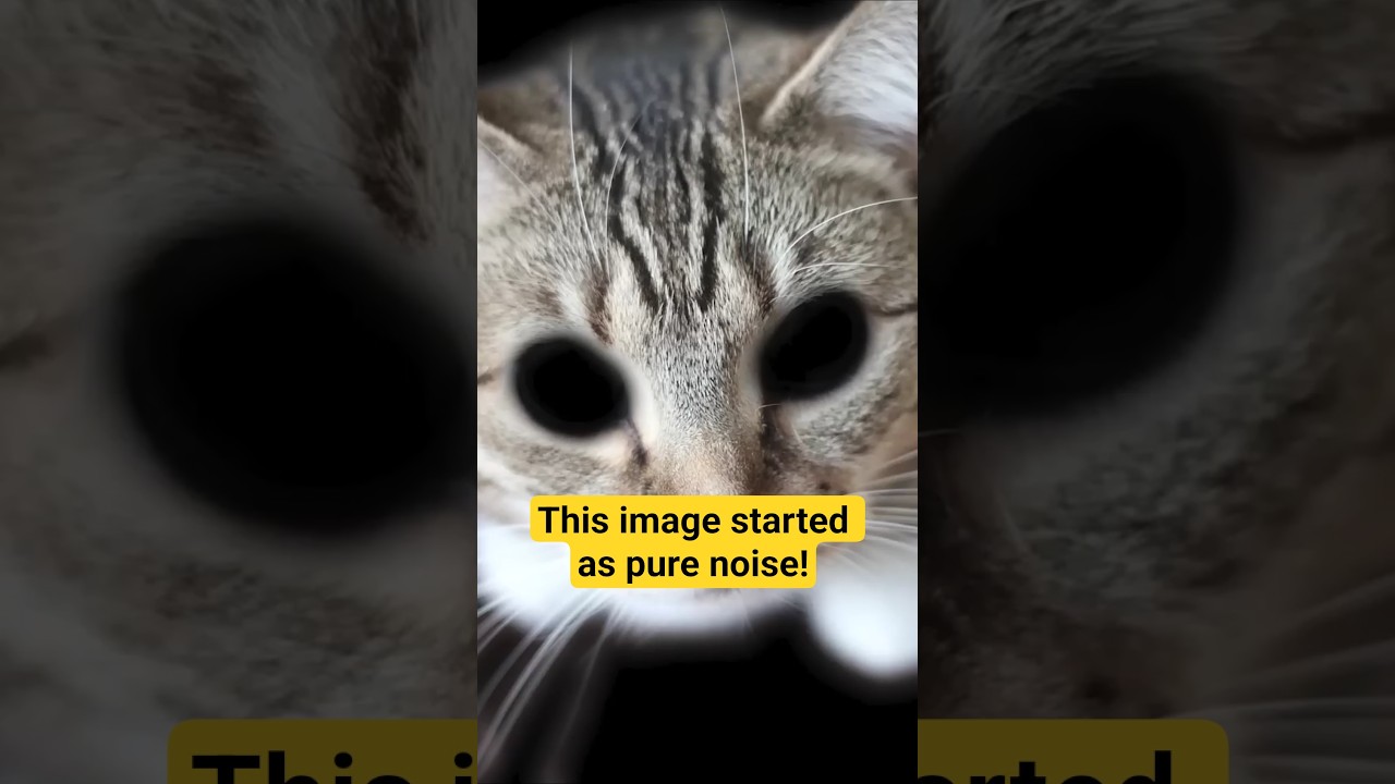 This image started as pure noise