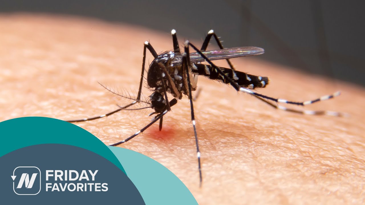 Friday Favorites: Do Garlic, Beer, Bananas, and B Vitamins Really Repel Mosquitoes?