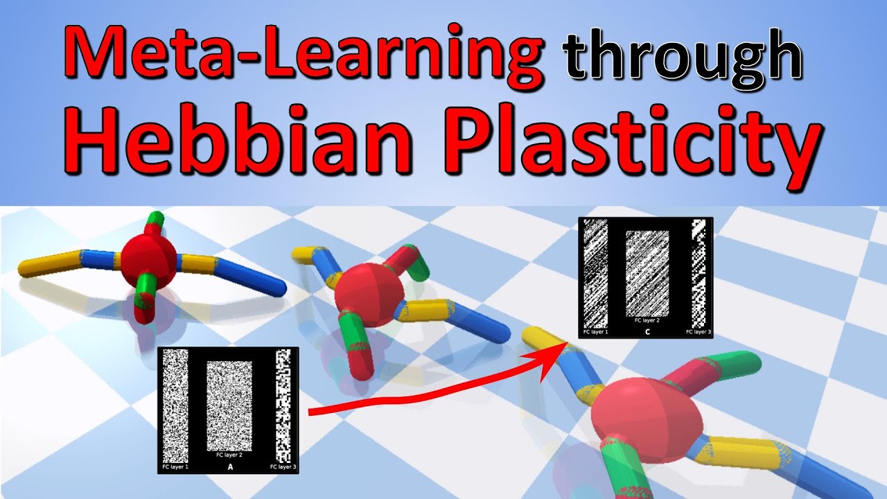 Meta-Learning through Hebbian Plasticity in Random Networks (Paper Explained)