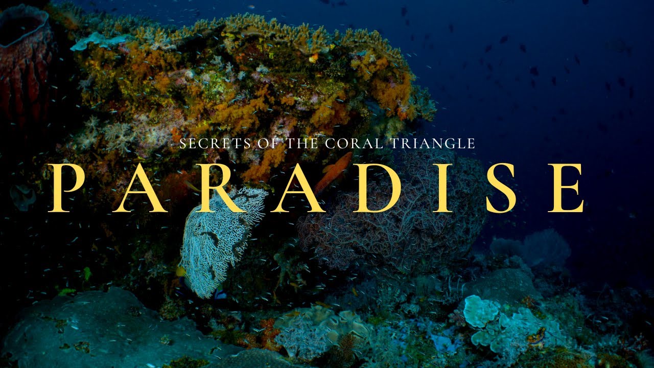 An Underwater Paradise (Official Trailer)