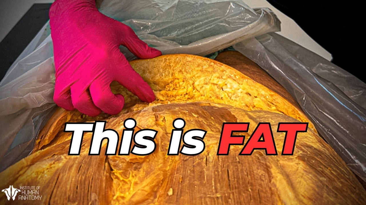 What Obesity REALLY Does To Your Organs