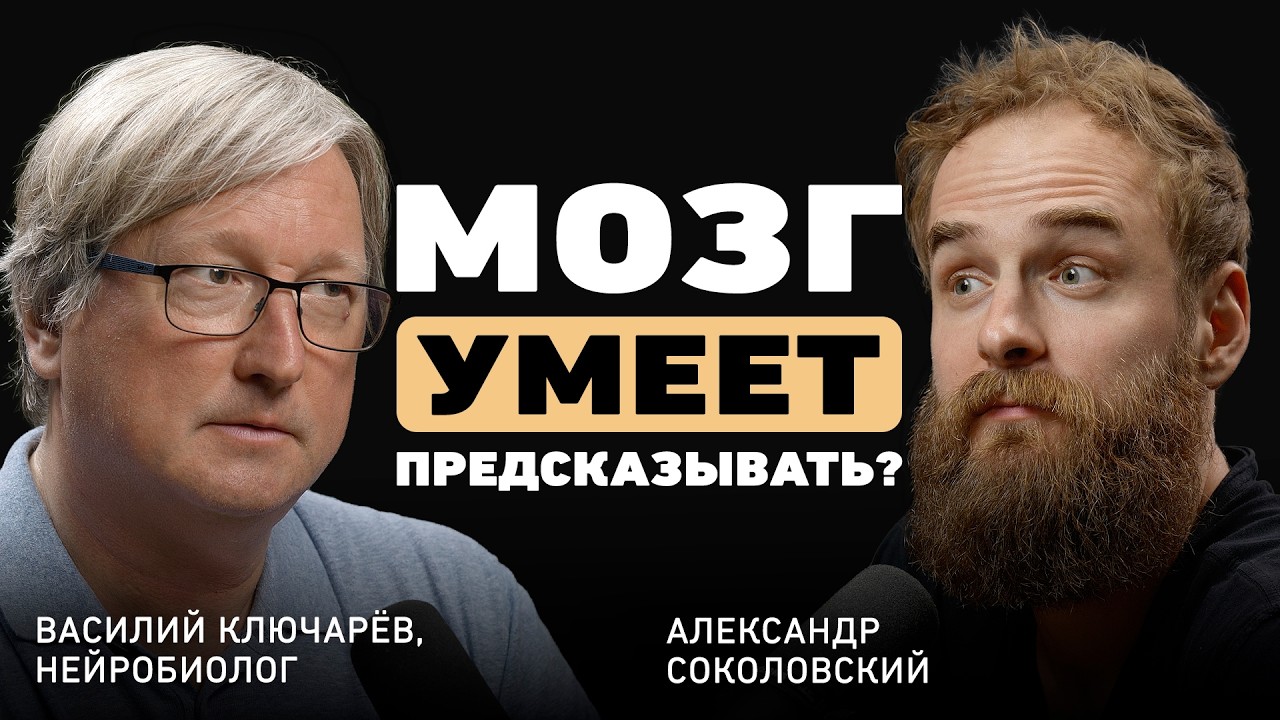 Как принимать верные решения, когда мозг пытается вас обмануть