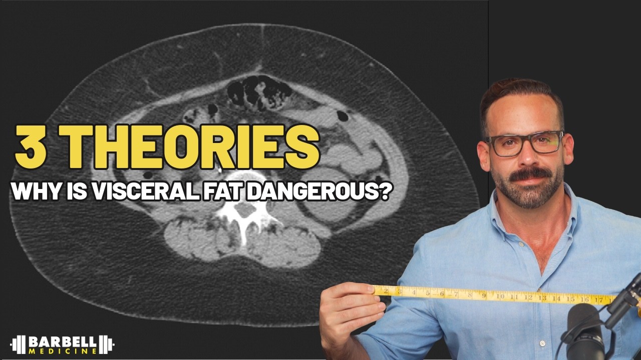 Three Theories on Why Visceral Fat Is Dangerous — Only One Has Strong Evidence