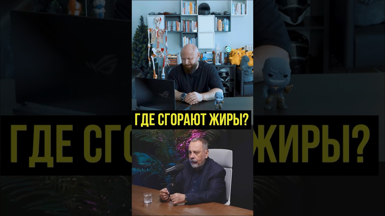 Где на самом деле сгорает жир: мифы о лёгких и правда о митохондриях